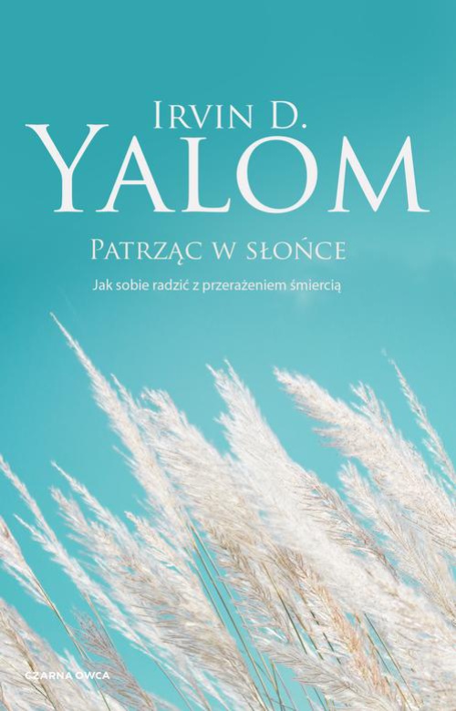 The cover of the book titled: Patrząc w słońce