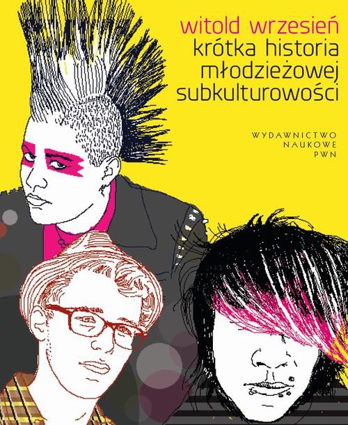 The cover of the book titled: Krótka historia młodzieżowej subkulturowości