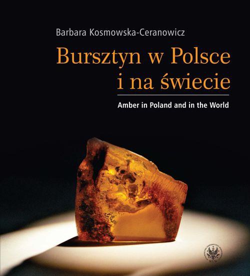 Okładka książki o tytule: Bursztyn w Polsce i na świecie. Amber in Poland and in the World