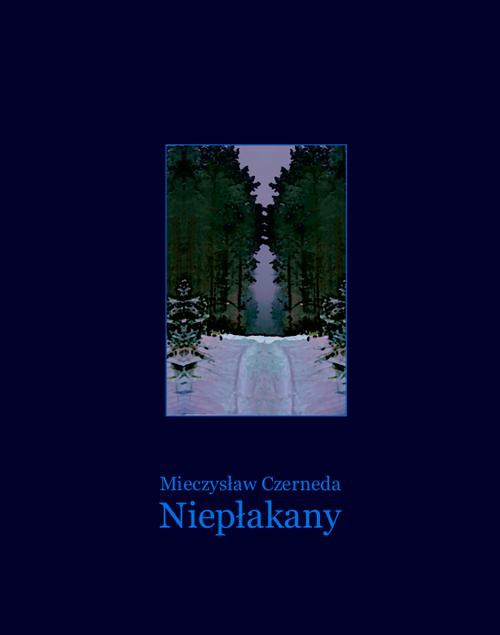 The cover of the book titled: Niepłakany