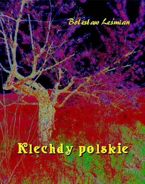 The cover of the book titled: Klechdy polskie