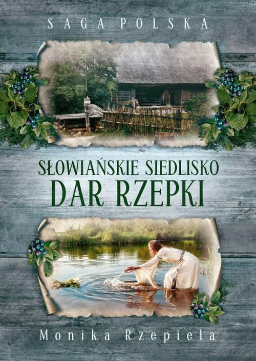 Okładka:Słowiańskie siedlisko Dar Rzepki 