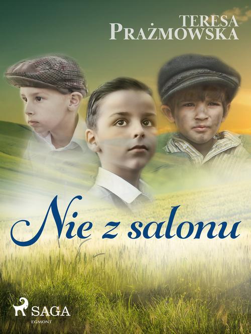 The cover of the book titled: Nie z salonu