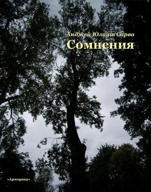 The cover of the book titled: Сомнения: поэтическая проза