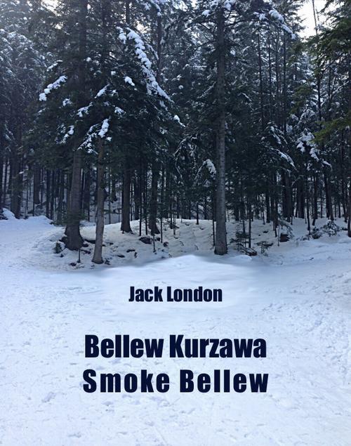 Okładka:Bellew Kurzawa. Smoke Bellew 