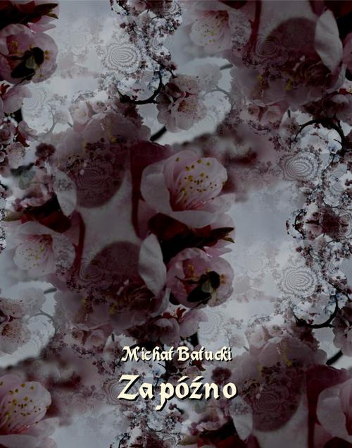 The cover of the book titled: Za późno. Nowela