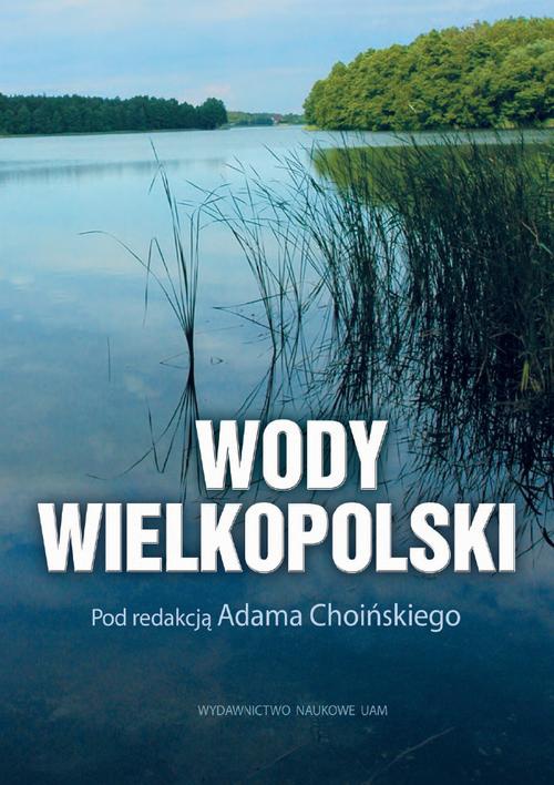 Okładka książki o tytule: Wody Wielkopolski