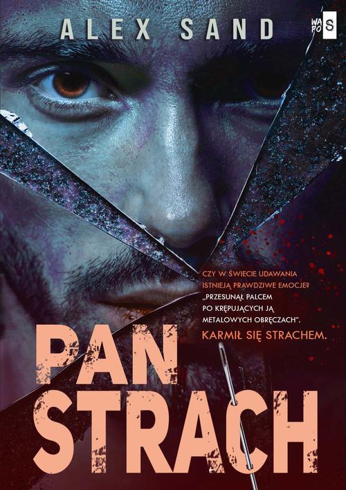 Обложка книги под заглавием:Pan Strach
