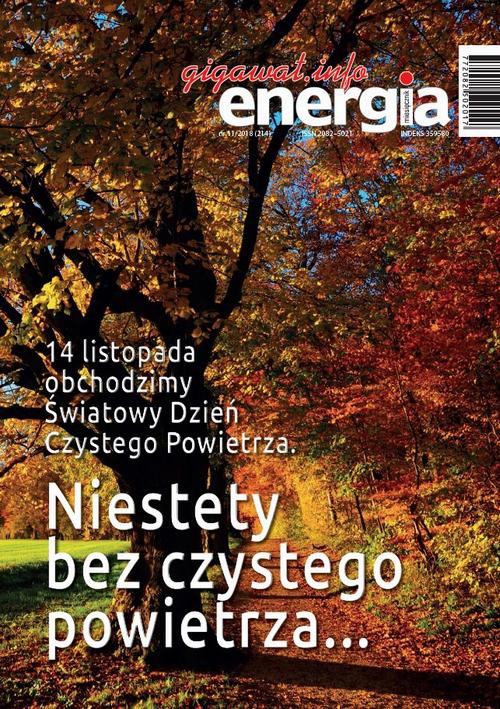 Обкладинка книги з назвою:Energia Gigawat nr 11/2018