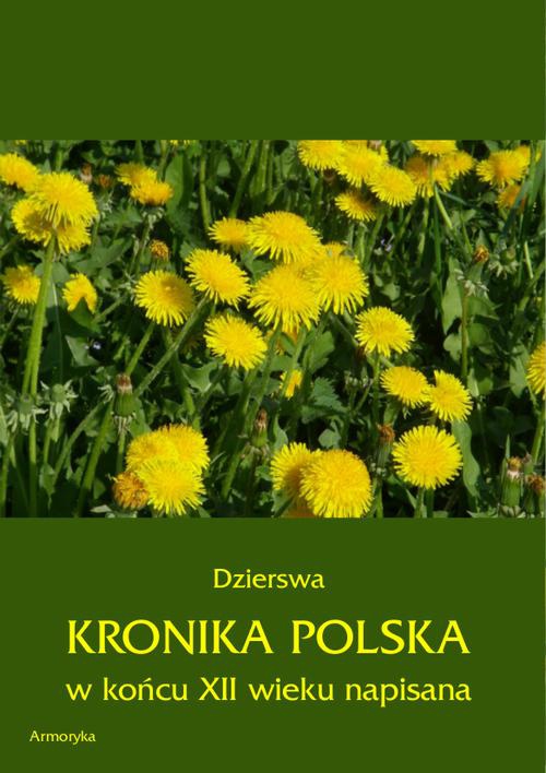 Обложка книги под заглавием:Kronika polska Dzierswy (Dzierzwy)