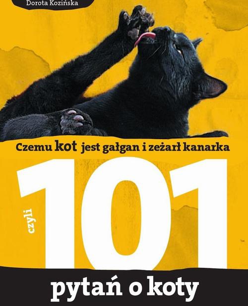 Okładka:101 pytań o koty, czyli czemu kot jest gałgan i zeżarł kanarka 