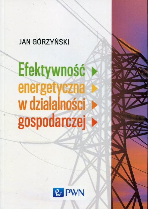 Okładka:Efektywność energetyczna w działalności gospodarczej 