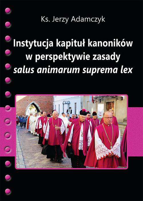Okładka książki o tytule: Instytucja kapituł kanoników w perspektywie zasady salus animarum suprema lex
