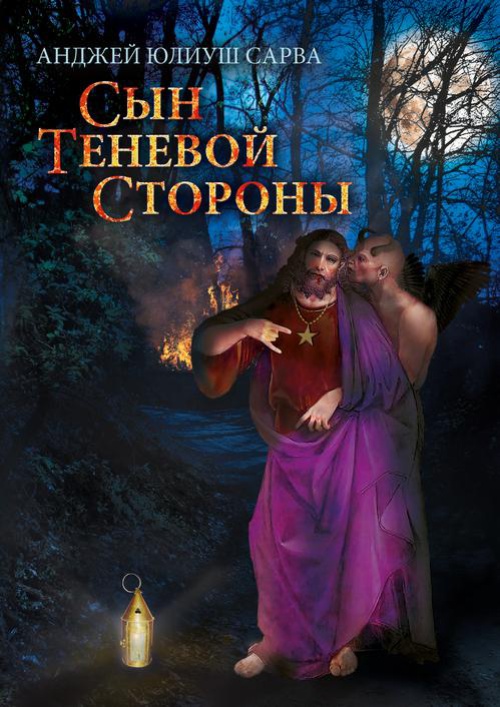 The cover of the book titled: Сын теневой стороны: роман