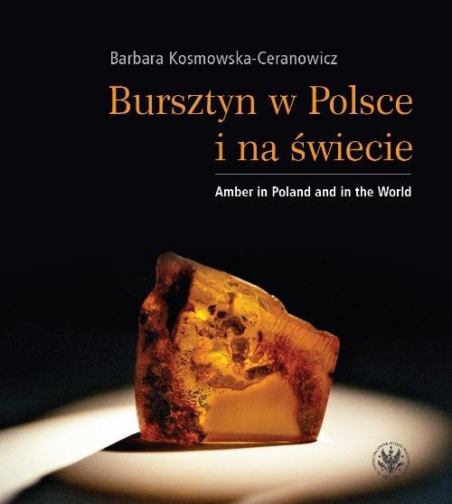 Обложка книги под заглавием:Bursztyn w Polsce i na świecie