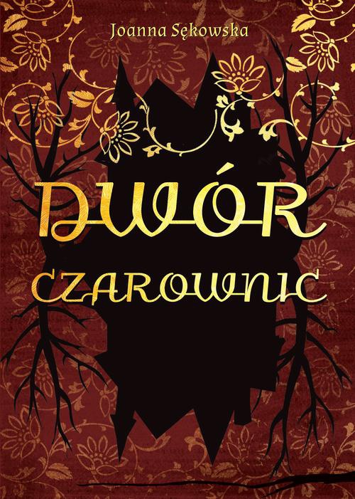 The cover of the book titled: Dwór czarownic