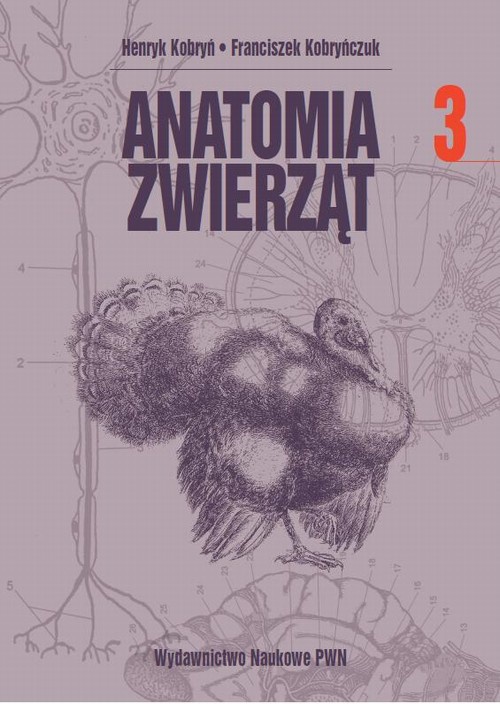 Okładka książki o tytule: Anatomia zwierząt, t. 3