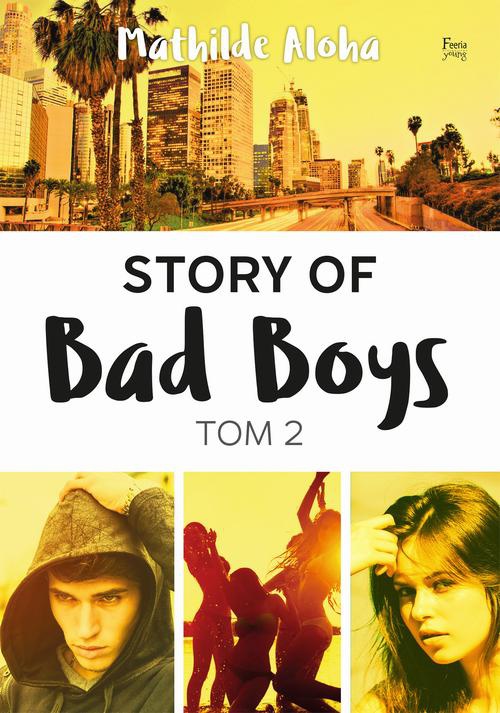 Okładka:Story of Bad Boys 2 