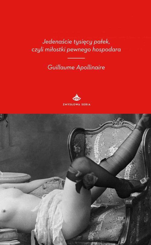 The cover of the book titled: Jedenaście tysięcy pałek, czyli miłostki pewnego hospodara
