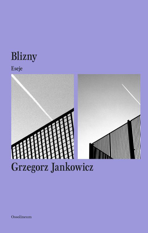 The cover of the book titled: Blizny. Eseje
